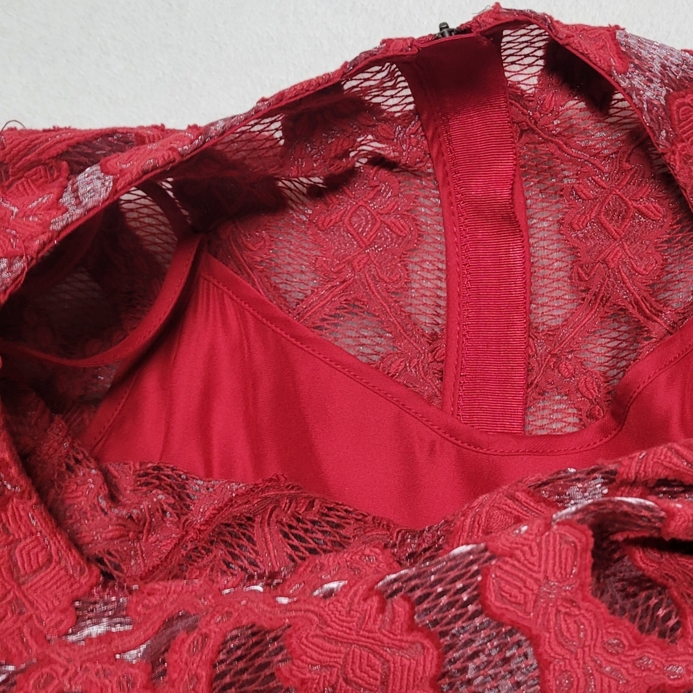 Anthropologie Moulinette Soeurs Rubied Lace Dress Fit & Flare Pleated Mini Dress - Picture 7 of 13